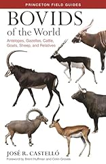 Bovids the antelopes gebraucht kaufen  Wird an jeden Ort in Deutschland