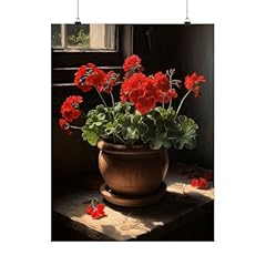 Red geranium flower for sale  Delivered anywhere in USA 