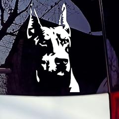 Doberman dog pet for sale  Delivered anywhere in USA 
