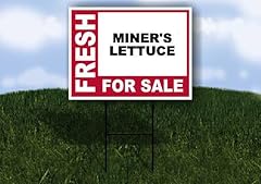 Miner lettuce fresh for sale  Delivered anywhere in USA 
