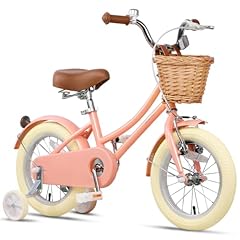 Glerc bicicletta per usato  Spedito ovunque in Italia 