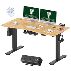 Flexispot en2 whole for sale  Delivered anywhere in USA 
