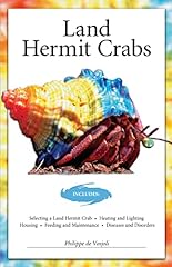 Land hermit crabs for sale  Delivered anywhere in UK