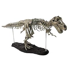 Jiheousty rex tyrannosaurus usato  Spedito ovunque in Italia 
