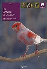 Canaris couleurs d'occasion  Livré partout en France