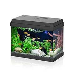 Aqpet acquario vetro usato  Spedito ovunque in Italia 