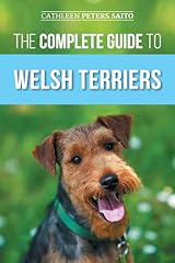 Complete guide welsh for sale  Delivered anywhere in UK