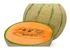 Melon cantaloupe hearts d'occasion  Livré partout en France