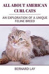 American curl cats for sale  Delivered anywhere in USA 