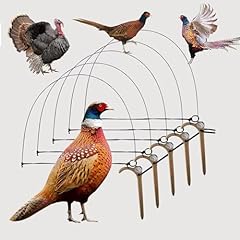 Bird trap pheasant for sale  Delivered anywhere in UK