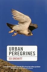 Urban peregrines for sale  Delivered anywhere in UK