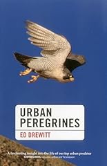 Urban peregrines for sale  Delivered anywhere in UK