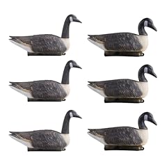 Vevor canada goose for sale  Delivered anywhere in USA 