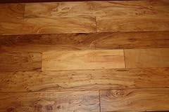 Elk mountain elm for sale  Delivered anywhere in USA 