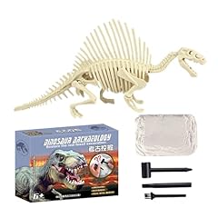 Kit scavo fossile usato  Spedito ovunque in Italia 