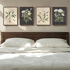 Framed botanical wall for sale  Delivered anywhere in USA 