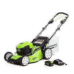Greenworks 40v inch for sale  Delivered anywhere in USA 