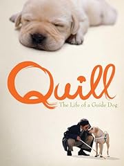 Quill life guide for sale  Delivered anywhere in USA 
