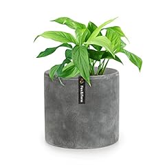 Fox fern blumentopf gebraucht kaufen  Wird an jeden Ort in Deutschland