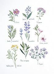 Dmc herbs cross for sale  Delivered anywhere in UK