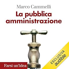 Pubblica amministrazione usato  Spedito ovunque in Italia 