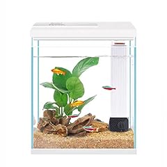Pronetcus betta fish for sale  Delivered anywhere in USA 