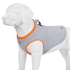 Mokcci truelove dog for sale  Delivered anywhere in UK