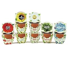 Buzzy seeds terracotta for sale  Delivered anywhere in USA 