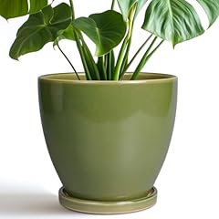Epfamily inch planter for sale  Delivered anywhere in USA 