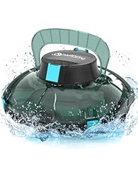 Winny pool cleaner usato  Spedito ovunque in Italia 