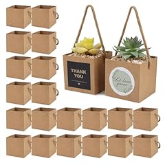 Temlum 40pcs succulent for sale  Delivered anywhere in USA 