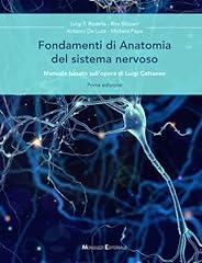 Fondamenti anatomia del usato  Spedito ovunque in Italia 