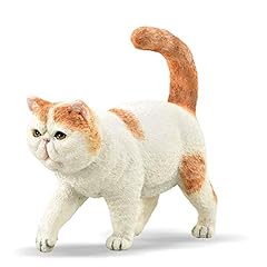 Collecta exotic shorthair usato  Spedito ovunque in Italia 