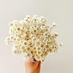 Natural dried flowers for sale  Delivered anywhere in USA 
