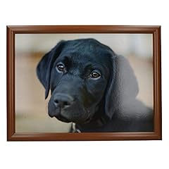 Creative tops labrador for sale  Delivered anywhere in UK
