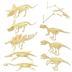 Dinosaur skeleton model for sale  Delivered anywhere in UK