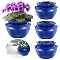 Sunnychicc african violet for sale  Delivered anywhere in USA 