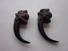 Eagle talons claws for sale  Delivered anywhere in USA 