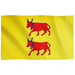 Drapeau runesol province d'occasion  Livré partout en France
