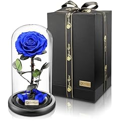 Yourroses véritable rose d'occasion  Livré partout en France