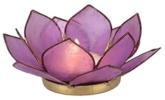 Guru shop lotus gebraucht kaufen  Wird an jeden Ort in Deutschland