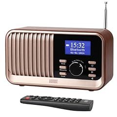 Wiederaufladbares dab radio gebraucht kaufen  Wird an jeden Ort in Deutschland