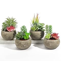 Vasemouh succulentes artificie d'occasion  Livré partout en France