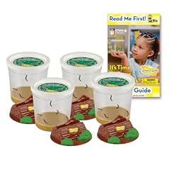Insect lore funtastic for sale  Delivered anywhere in USA 