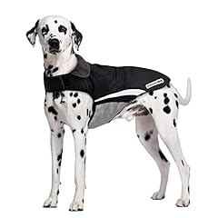 Buddypuppy cappotto cane usato  Spedito ovunque in Italia 