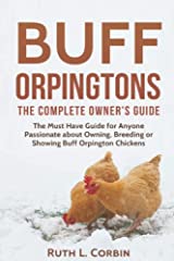Buff orpingtons complete for sale  Delivered anywhere in Ireland