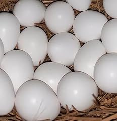 Generic northern bobwhite for sale  Delivered anywhere in USA 