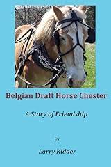 Belgian draft horse for sale  Delivered anywhere in USA 