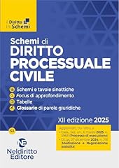 Schemi procedura civile usato  Spedito ovunque in Italia 