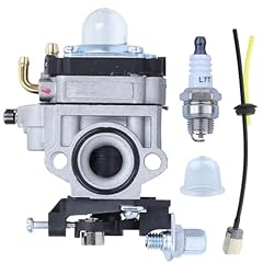 Kit carburatore per usato  Spedito ovunque in Italia 